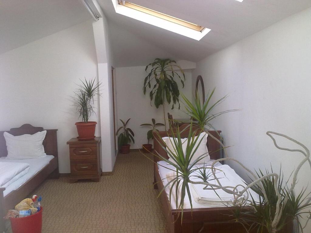 Guest House Todorini Kashti Koprivštica Pokoj fotografie