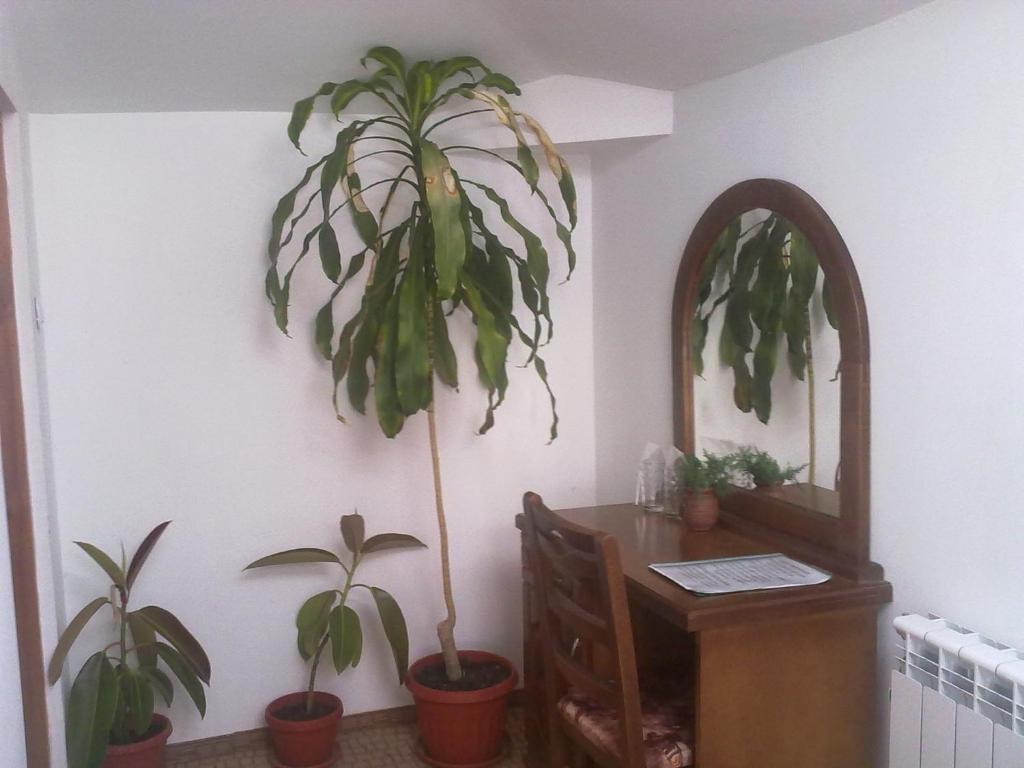 Guest House Todorini Kashti Koprivštica Pokoj fotografie